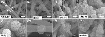 Epitaxial Growth of Flower-Like MoS2 on One-Dimensional Nickel Titanate Nanofibers: A “Sweet Spot” for Efficient Photoreduction of Carbon Dioxide